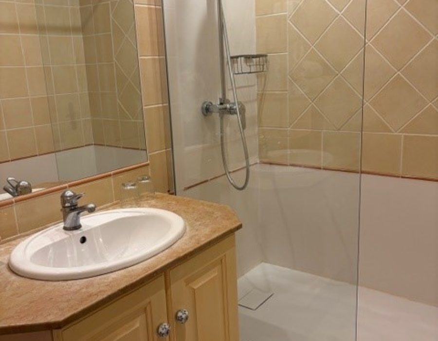 CH14-DOUCHE + LAVABO